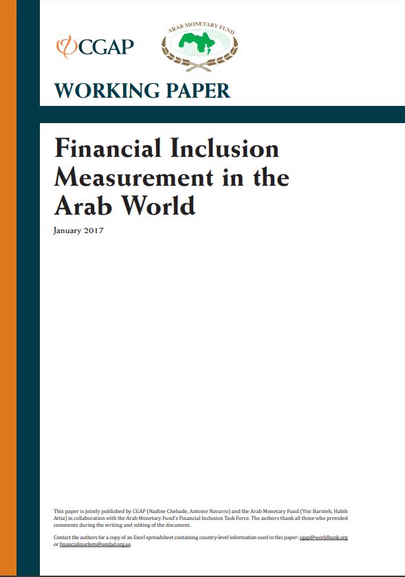 Financial Inclusion Measurement in the Arab World