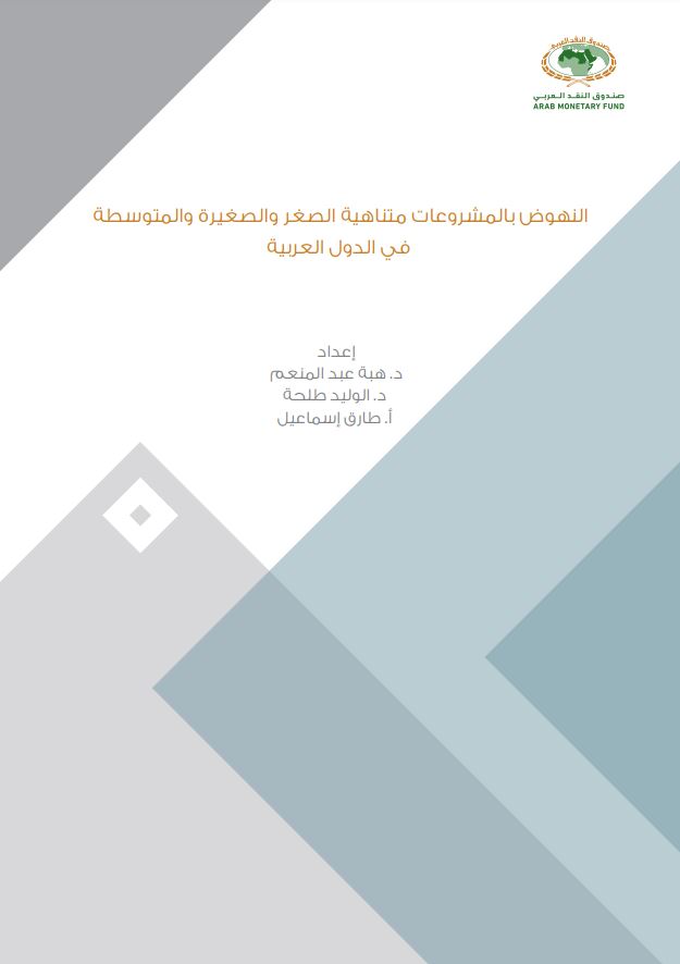 النهوض بالمشروعات متناهية الصغر والصغيرة والمتوسطة في الدول العربية