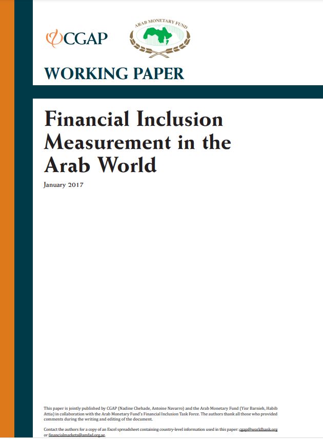 Financial Inclusion Measurement in the Arab World