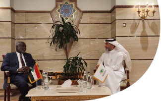 إعادة هيكلة مديونية جمهورية السودان